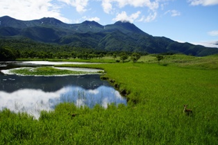 日本の世界遺産 - World Heritage in Japan