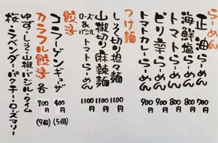 カラフルギョウザ＆ヌードル　しょこたん28