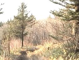 明るい破風山山頂