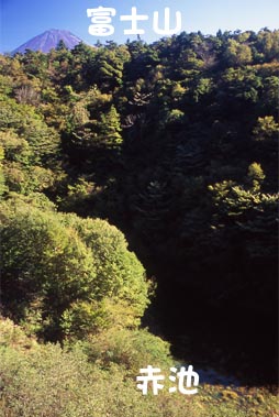 赤池