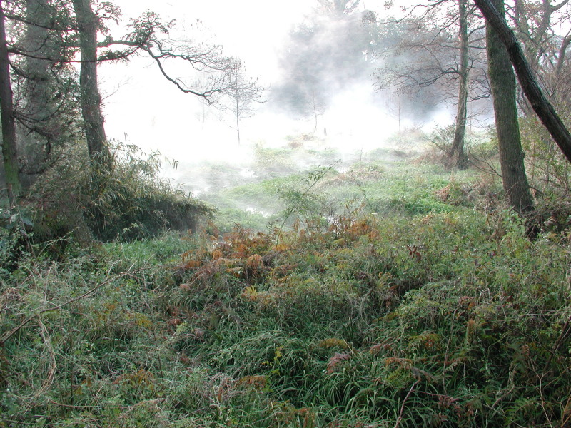 富士山周辺風景