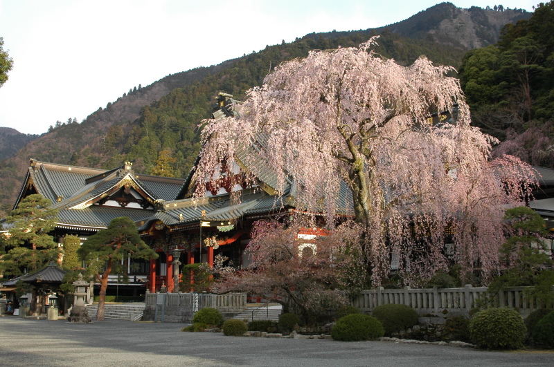富士山周辺風景
