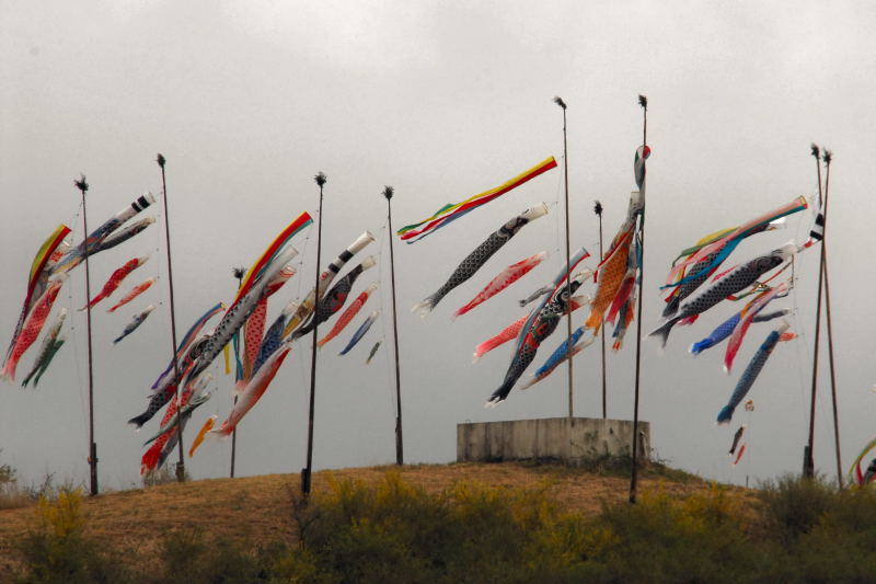 富士山周辺風景