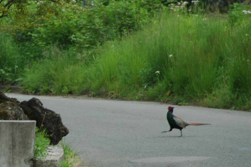 富士山周辺暮し