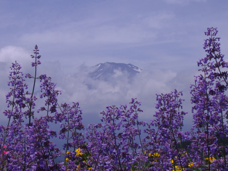 富士山画像記録