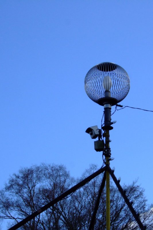 富士山周辺その他