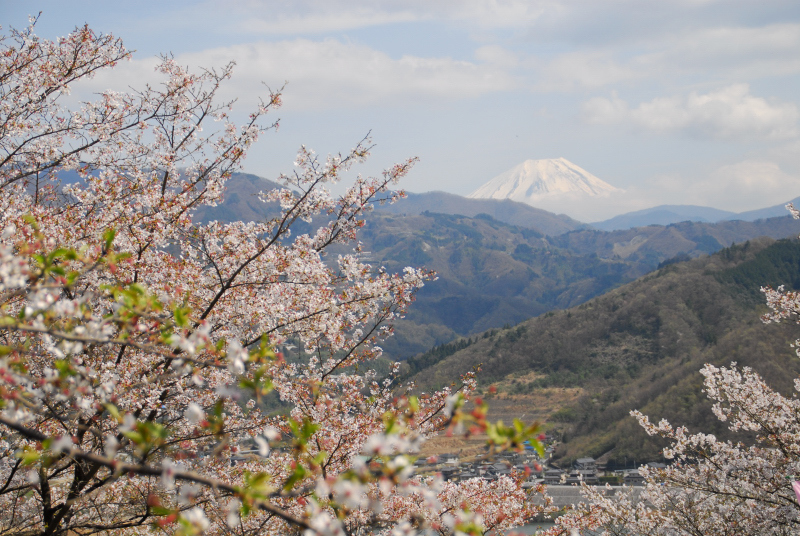 富士山関連作品
