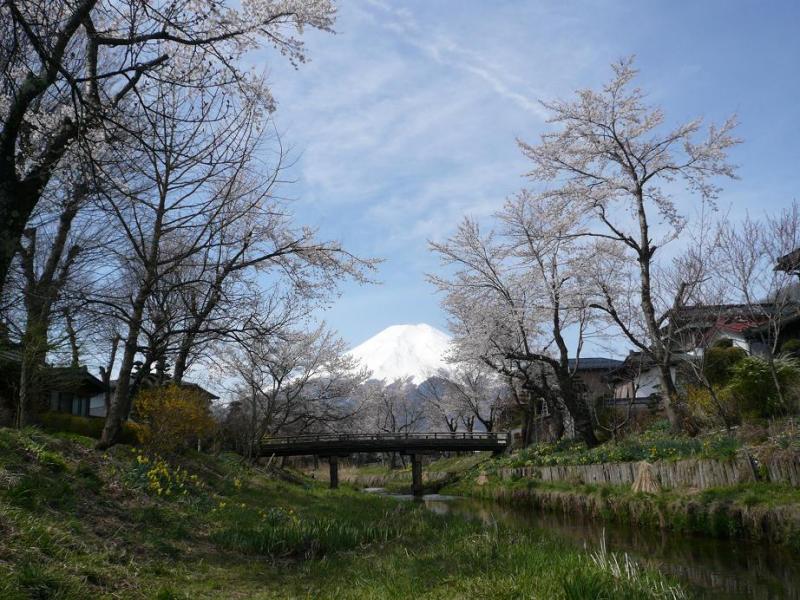 富士山画像作品