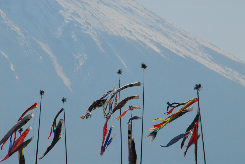 富士山周辺風景