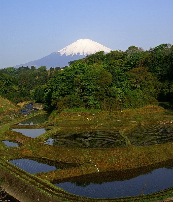 富士山画像作品