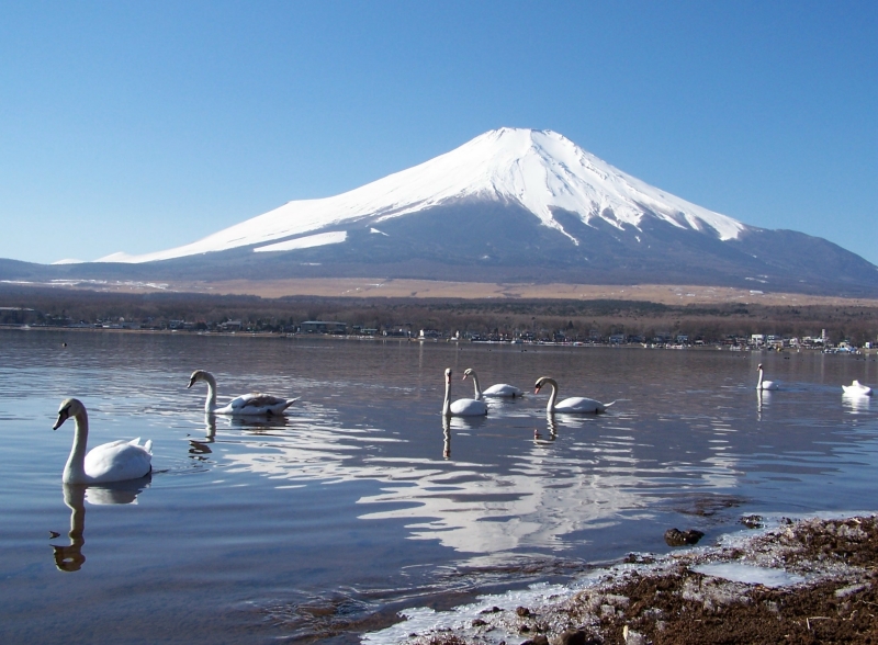 富士山周辺風景