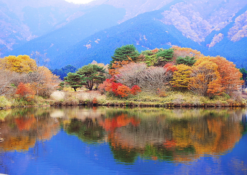 富士山周辺風景