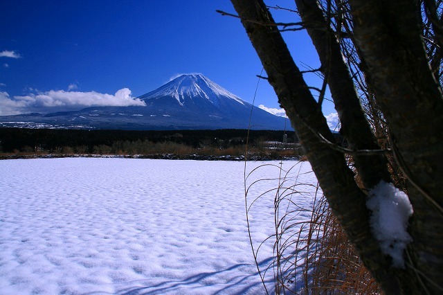 富士山画像作品