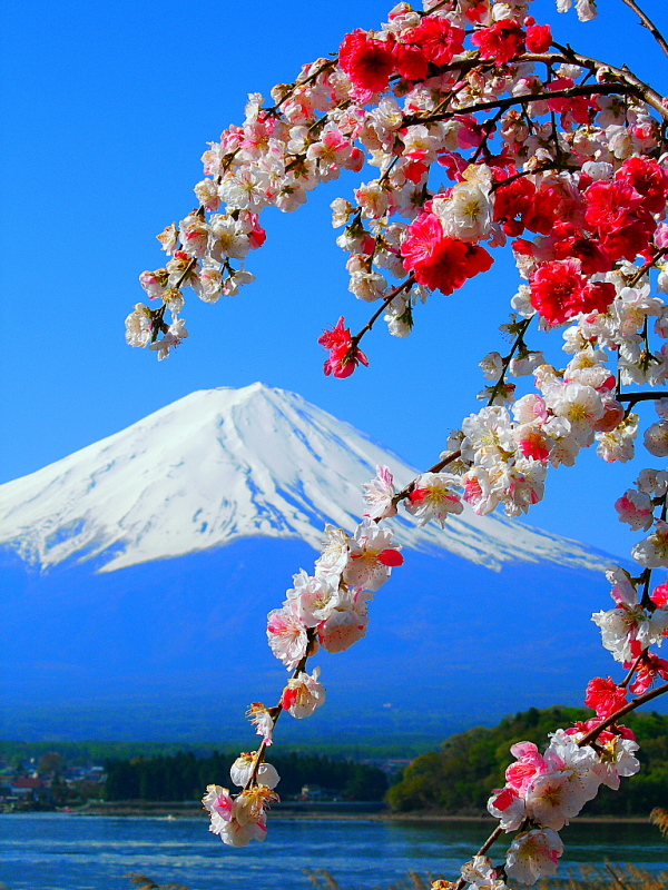 富士山周辺風景