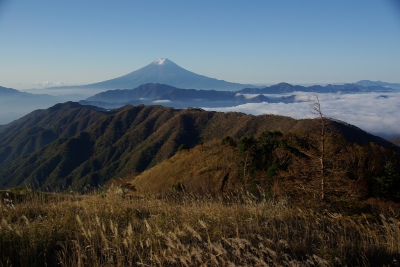 富士山画像記録