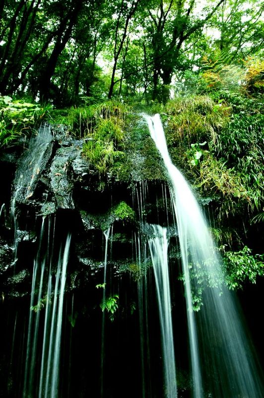 富士山周辺風景