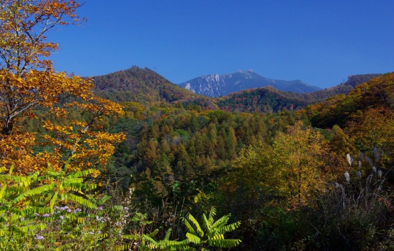 富士山周辺風景