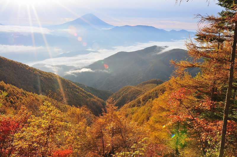 富士山画像作品