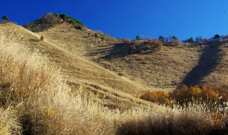 富士山周辺風景