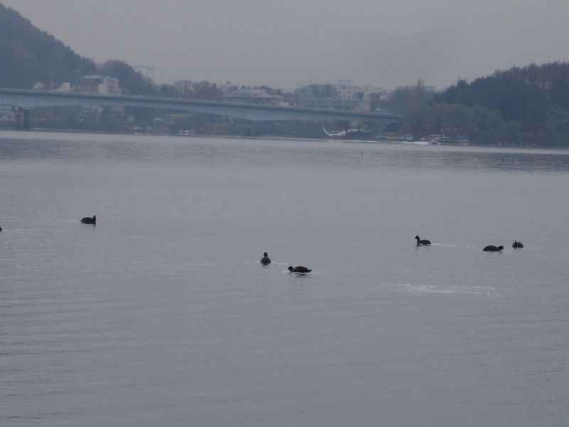 富士山周辺風景