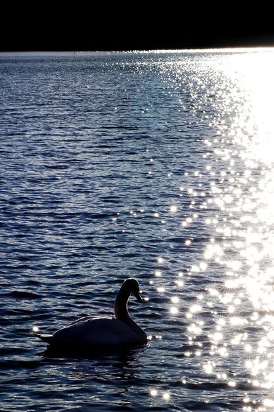 富士山周辺風景