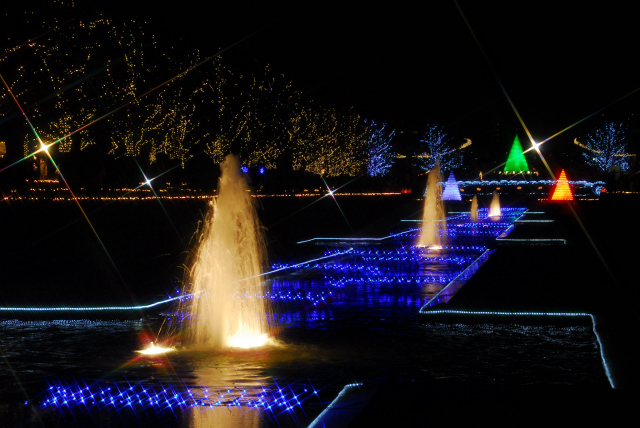 なんでも作品自慢