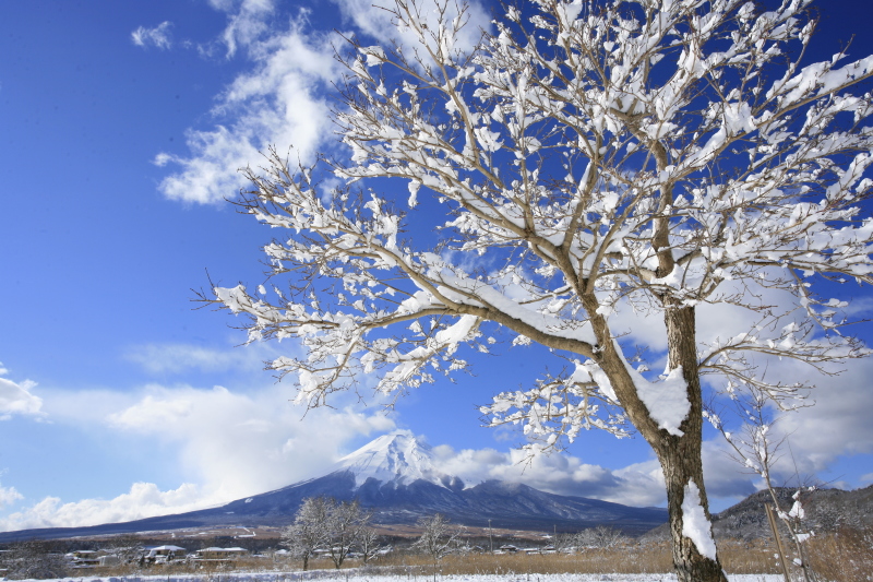 富士山画像作品