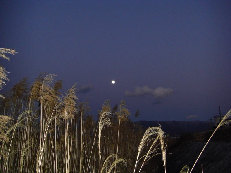 富士山画像作品