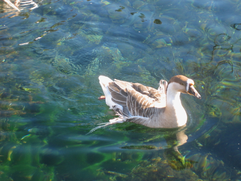富士山周辺風景