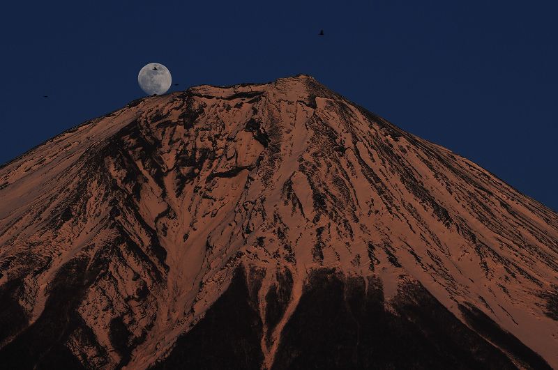 富士山画像作品