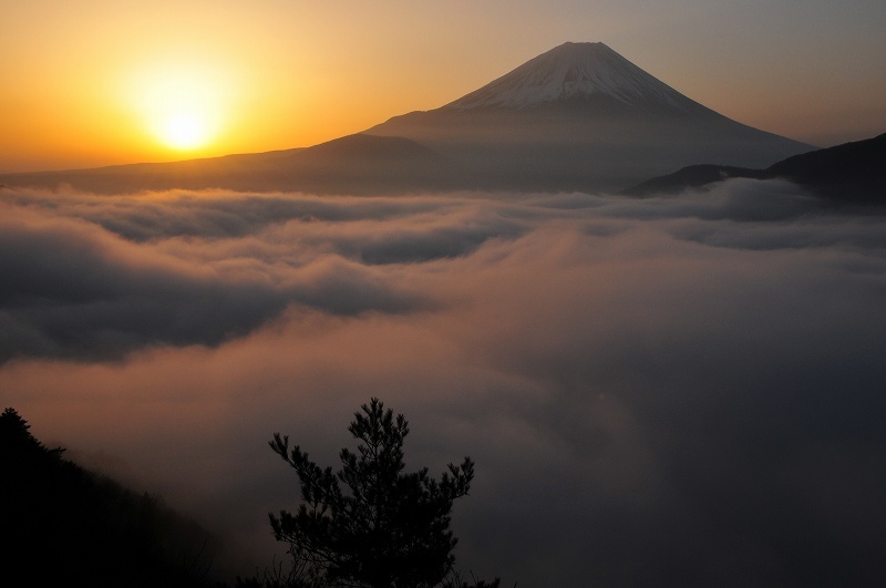 富士山画像記録