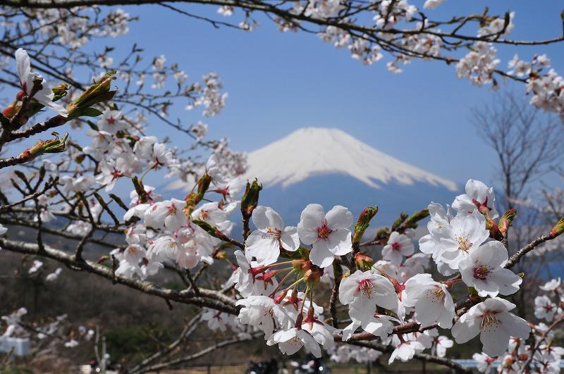 富士山画像作品