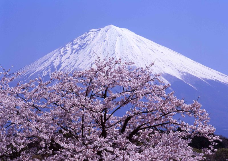 富士山画像記録