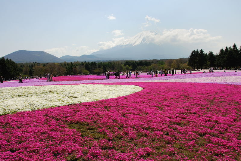 富士山画像記録