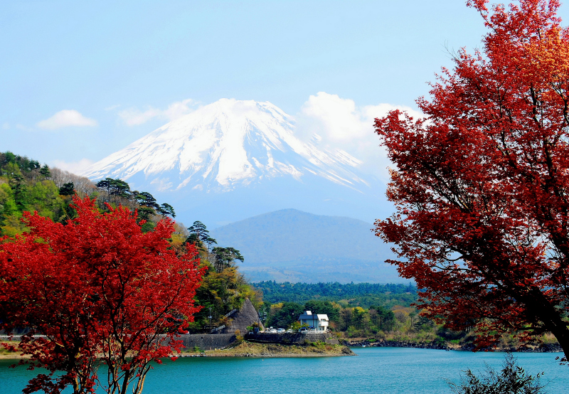 富士山画像記録