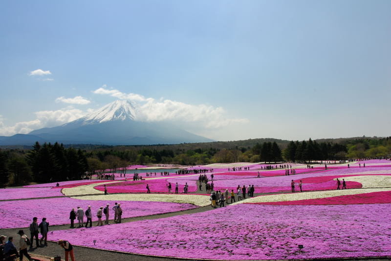 富士山画像記録