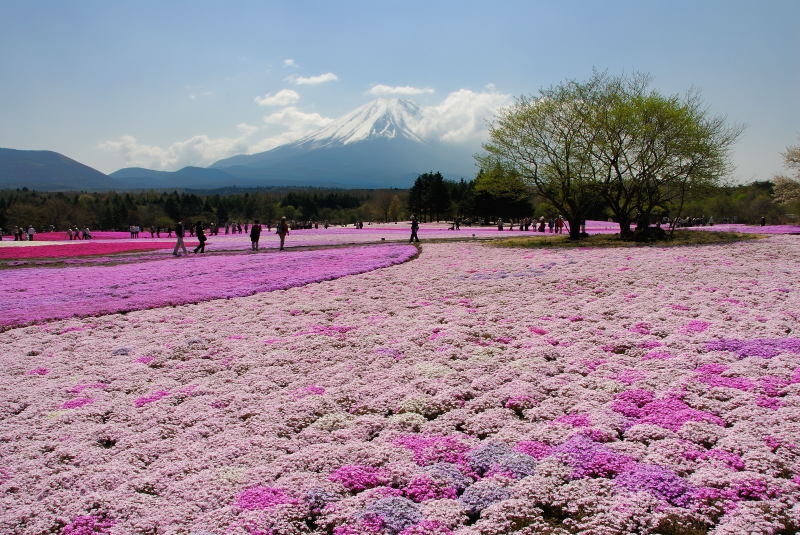 富士山画像記録