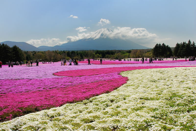 富士山画像記録