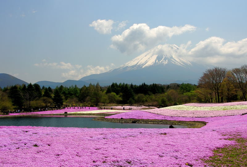 富士山画像記録