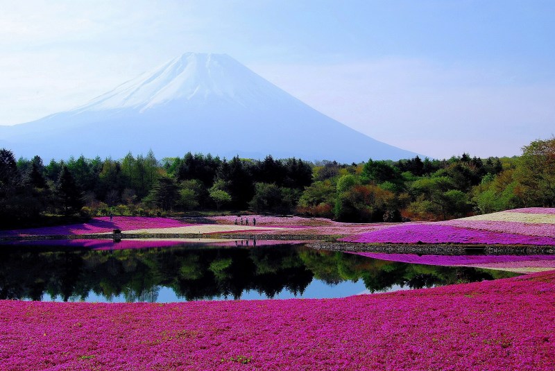 富士山画像記録