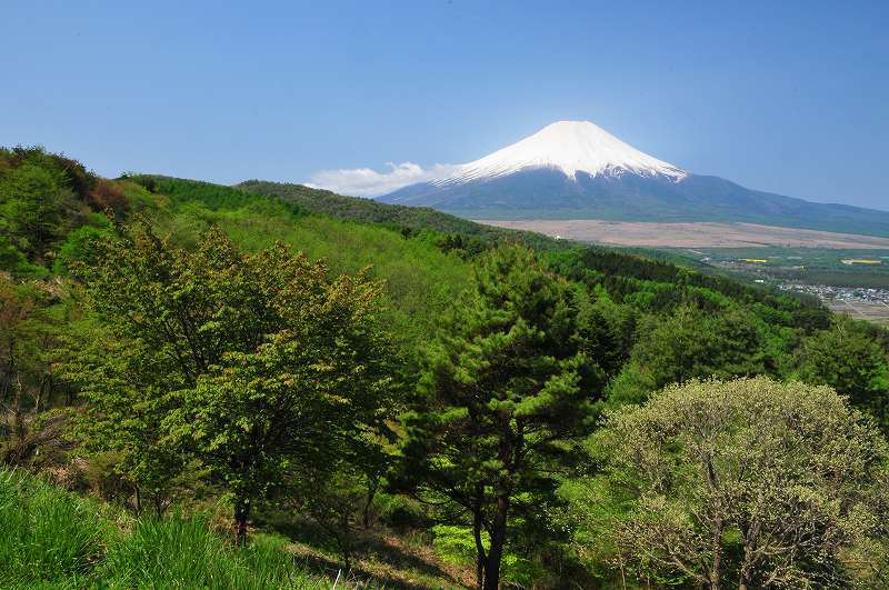 富士山画像作品