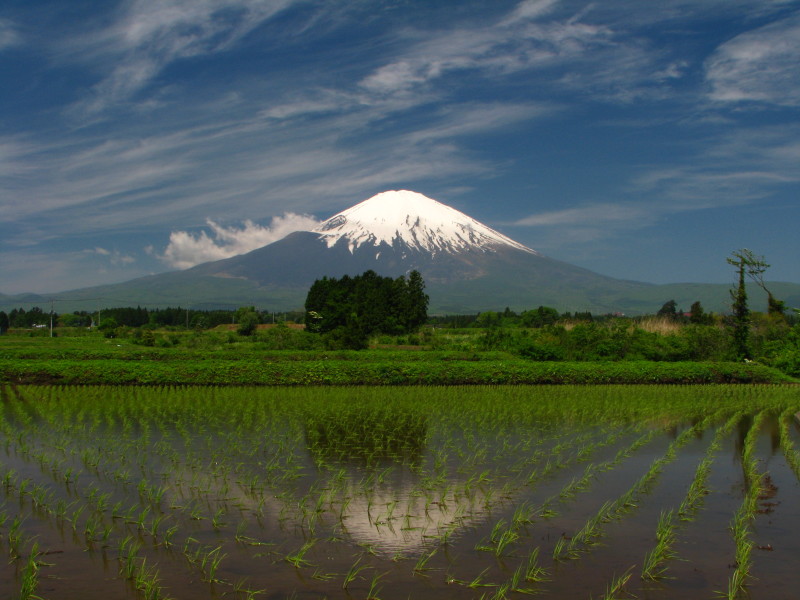 富士山画像記録