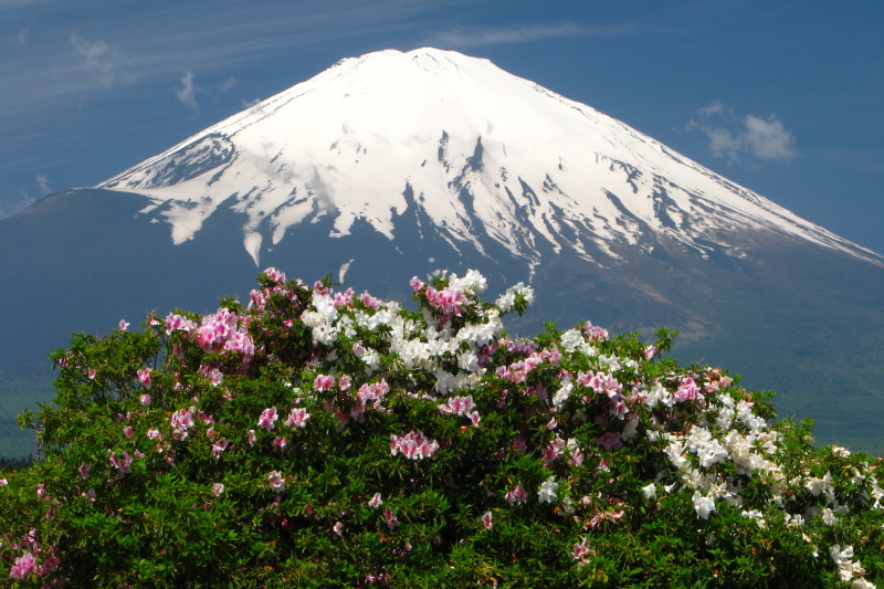 富士山画像記録