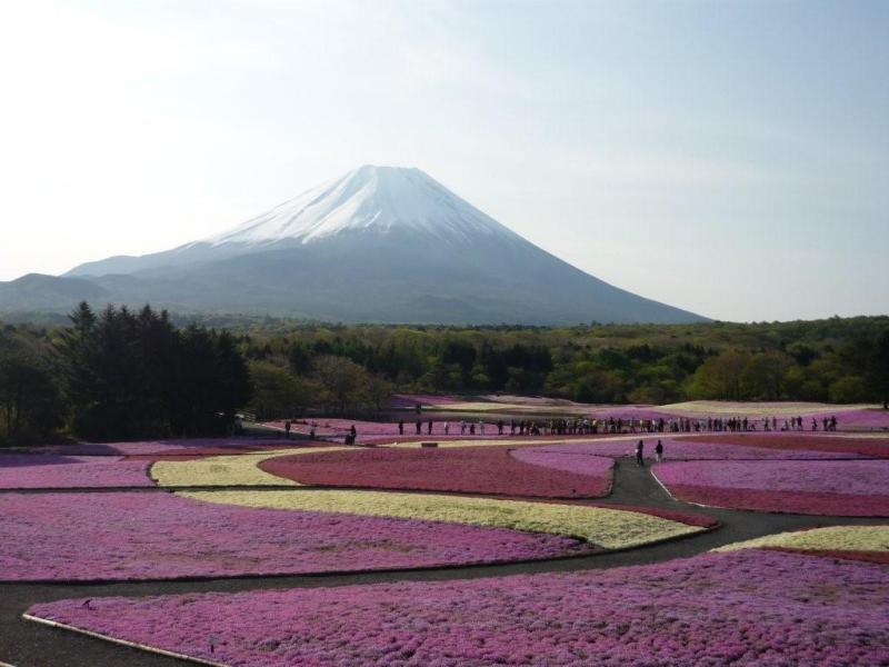 富士山画像記録