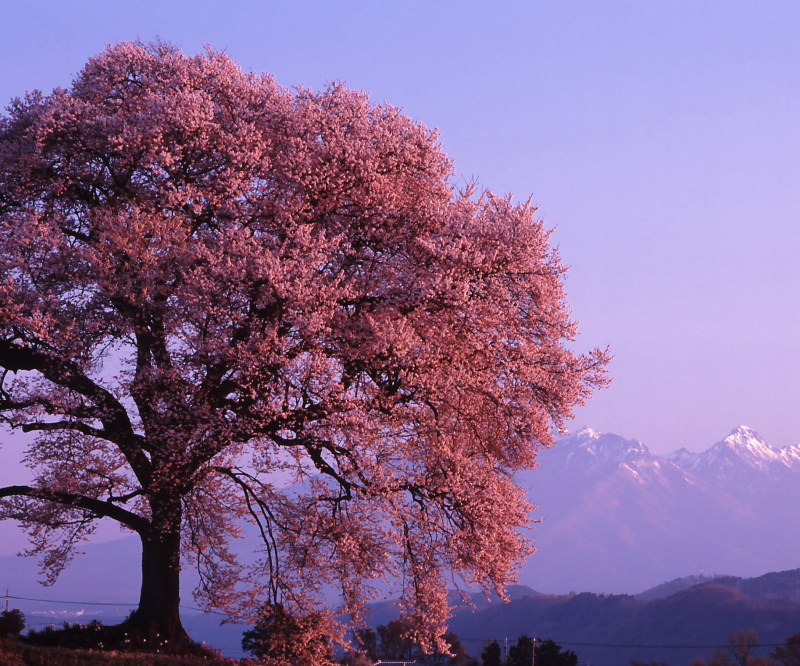 富士山周辺風景