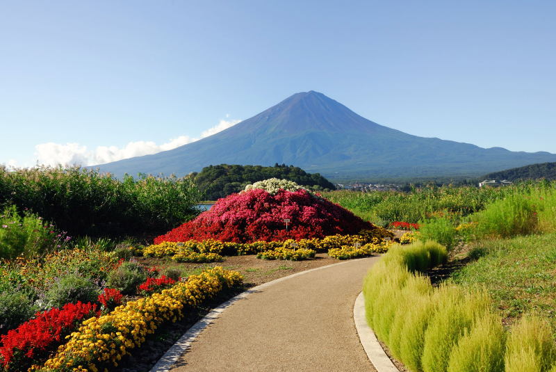 富士山画像記録