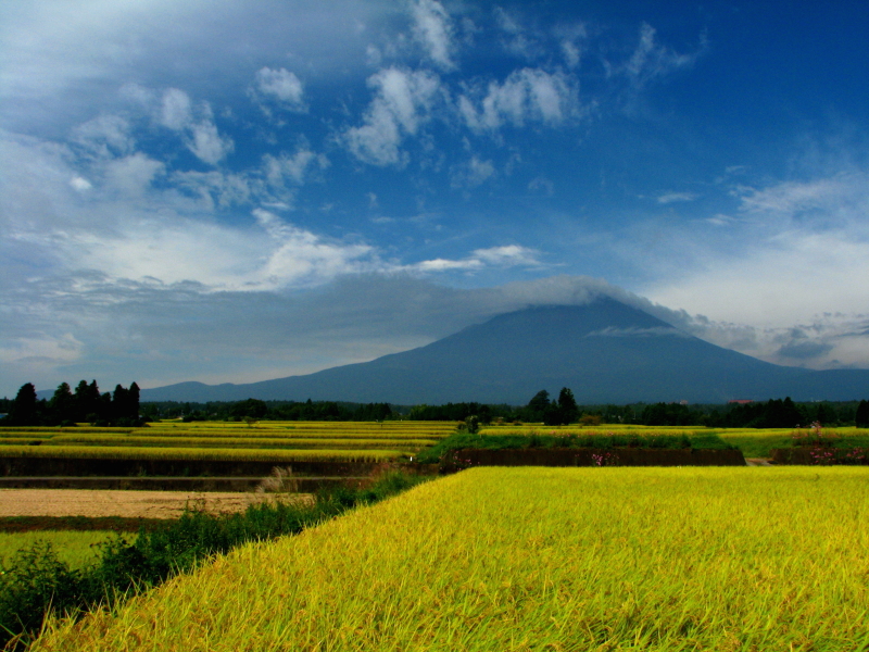 富士山画像記録