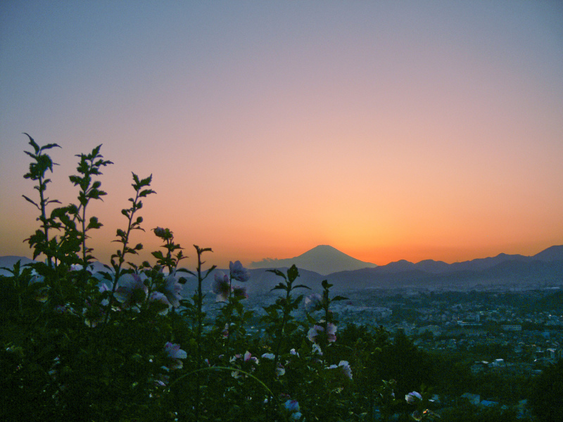 富士山画像記録