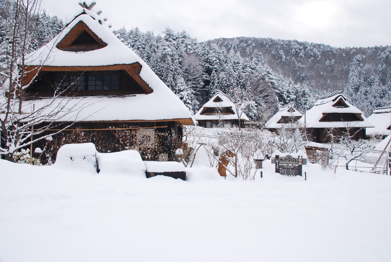 富士山周辺風景