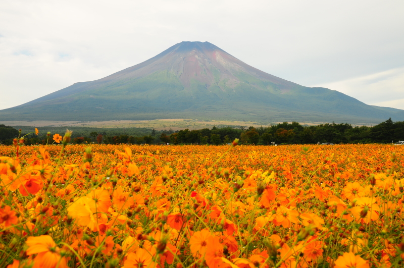 富士山周辺風景
